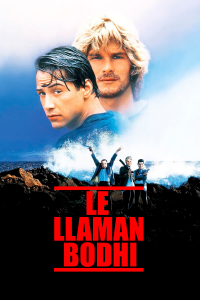 Le llaman Bodhi