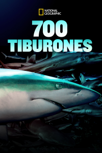 700 Tiburones