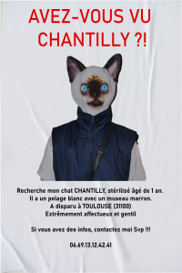 AVEZ-VOUS VU CHANTILLY ?!