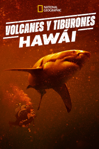 Los tiburones del volcán: Hawái